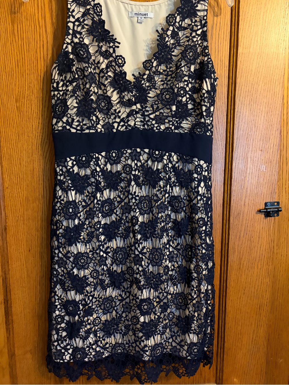 Navy Lace Dress with Cream Lining